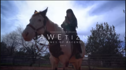 adele horse adele horse